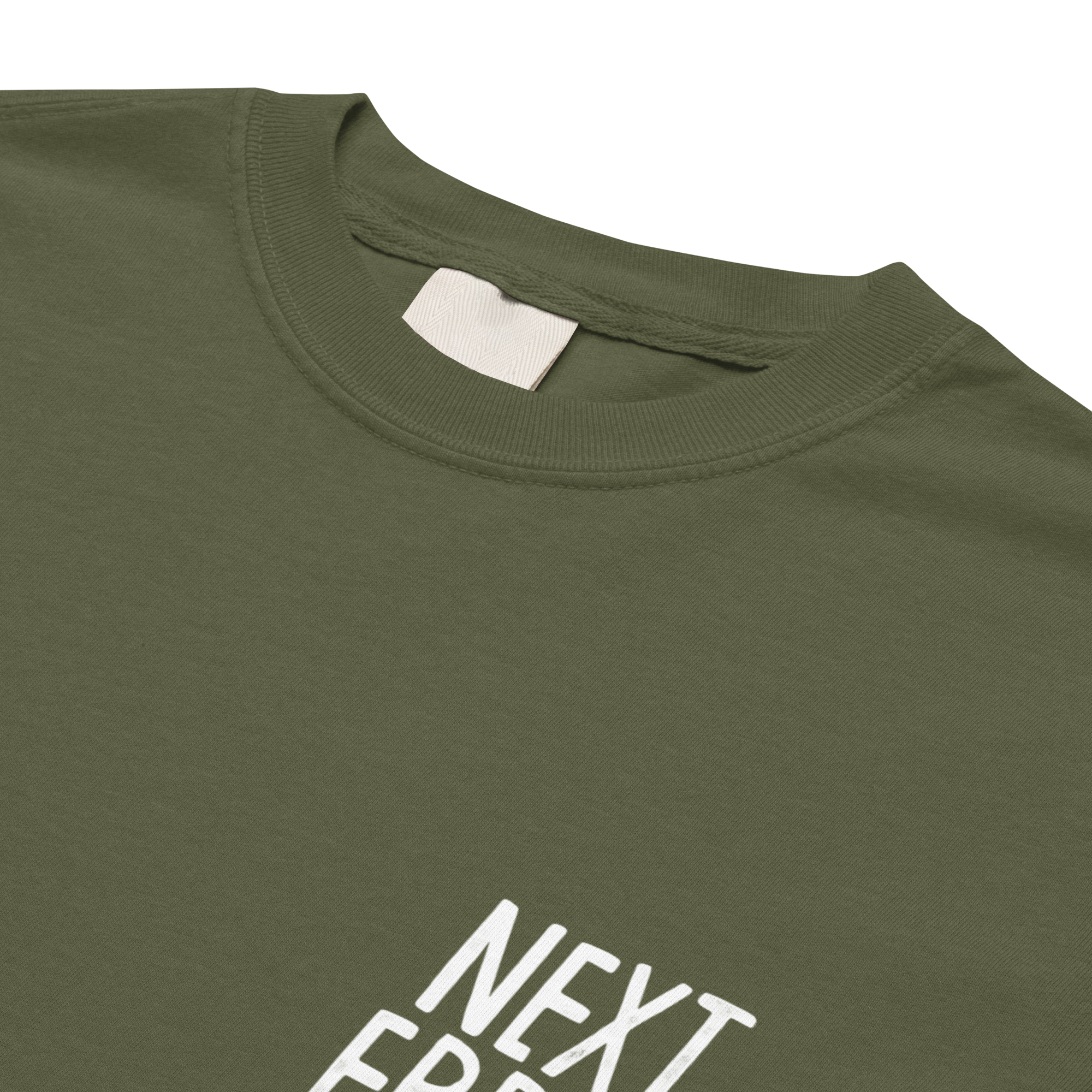 CHOOSE YR OWN ADVENTURE N.E LOGO<br>Heavy Weight Tee - NEXT_ERROR