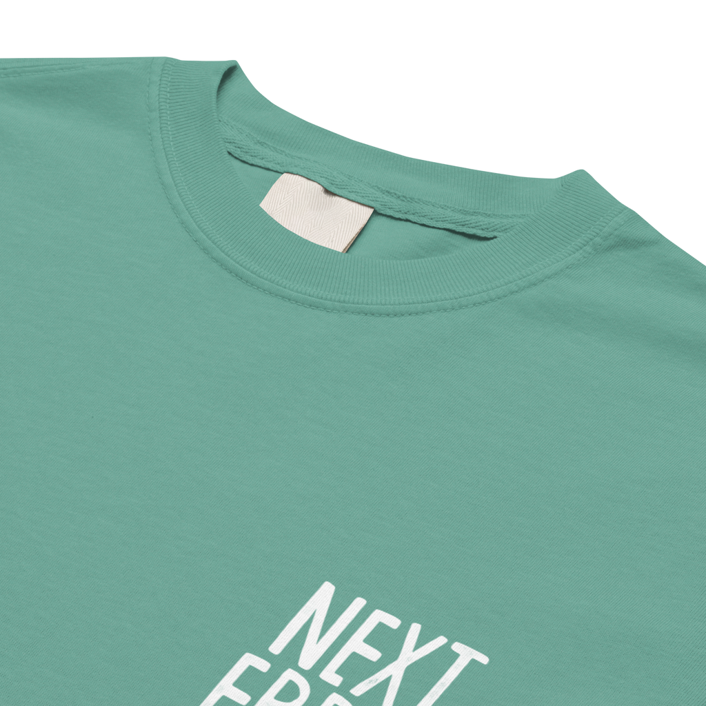 CHOOSE YR OWN ADVENTURE N.E LOGO<br>Heavy Weight Tee - NEXT_ERROR