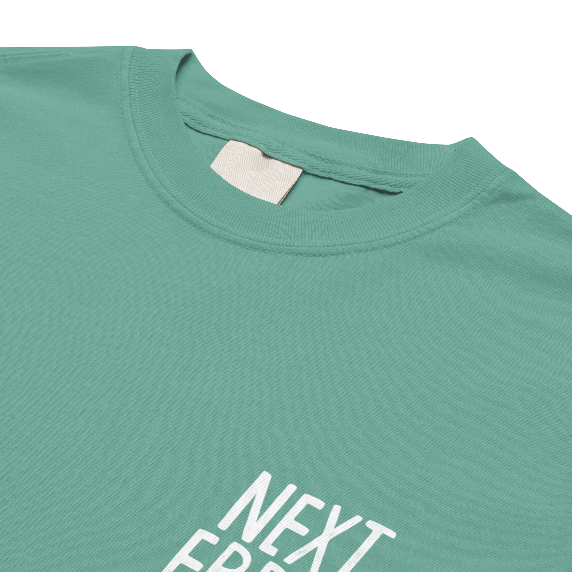 CHOOSE YR OWN ADVENTURE N.E LOGO<br>Heavy Weight Tee - NEXT_ERROR