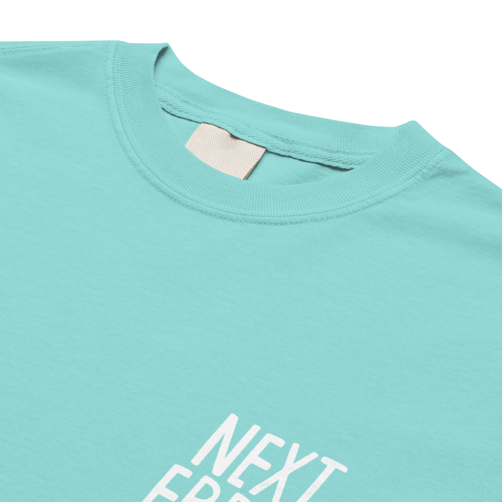 CHOOSE YR OWN ADVENTURE N.E LOGO<br>Heavy Weight Tee - NEXT_ERROR