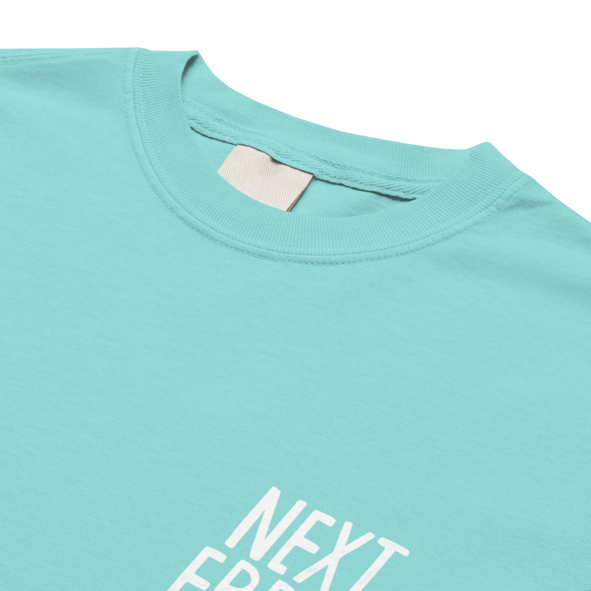 CHOOSE YR OWN ADVENTURE N.E LOGO<br>Heavy Weight Tee - NEXT_ERROR