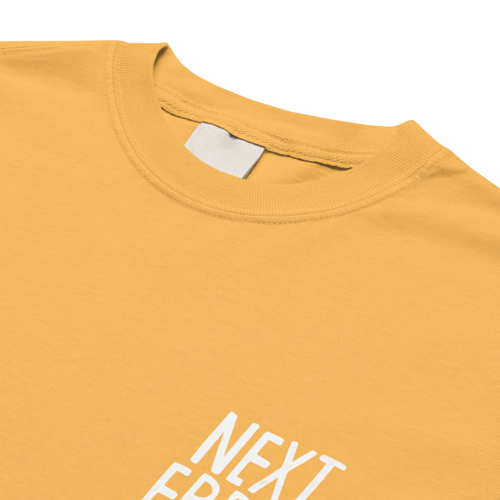 CHOOSE YR OWN ADVENTURE N.E LOGO<br>Heavy Weight Tee - NEXT_ERROR