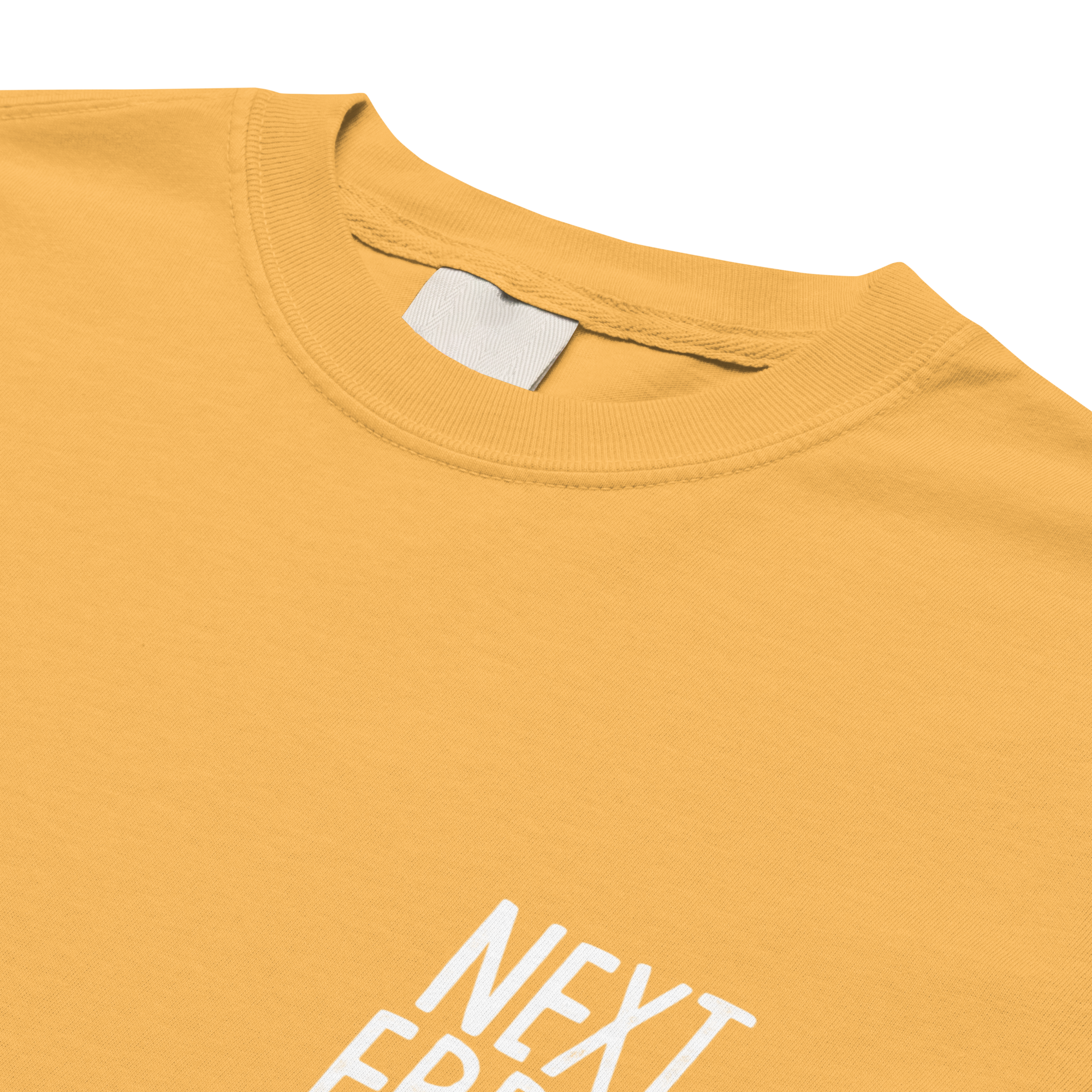 CHOOSE YR OWN ADVENTURE N.E LOGO<br>Heavy Weight Tee - NEXT_ERROR